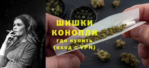 тгк Абаза