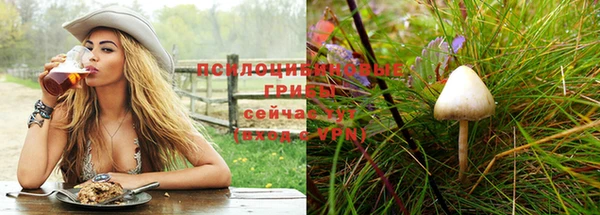 тгк Абаза