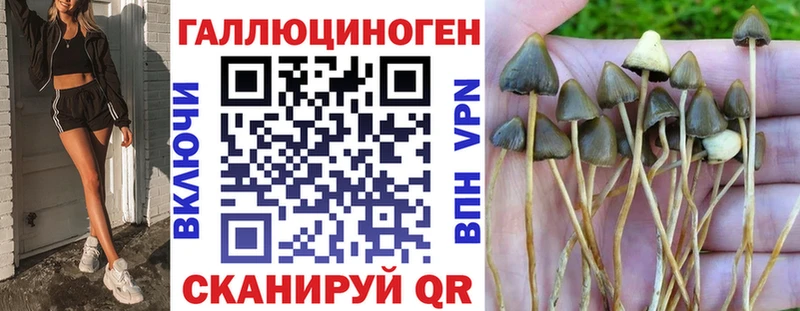 купить наркотик  Моршанск  Галлюциногенные грибы Psilocybine cubensis 